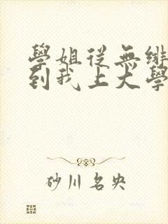 学姐从无绯闻直到我上大学txt下载