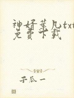 神婿叶凡txt免费下载