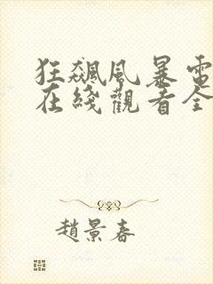 狂飙风暴电视剧在线观看全集高清封面