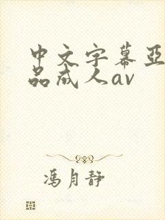 中文字幕亚洲精品成人av