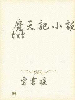 魔天记小说下载txt