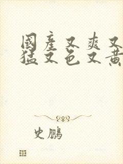 国产又爽又粗又猛又色又黄