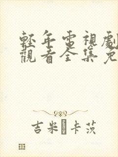 轻年电视剧在线观看全集免费星辰影院封面