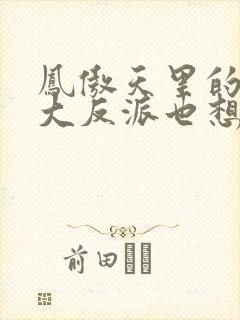 凤傲天里的黄毛大反派也想要幸福txt