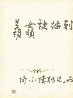 美女被插到很爽视频