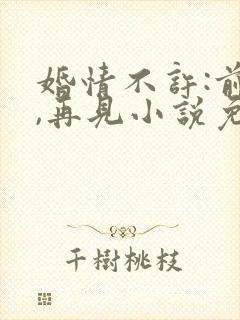 婚情不许:前夫,再见小说免费阅读封面