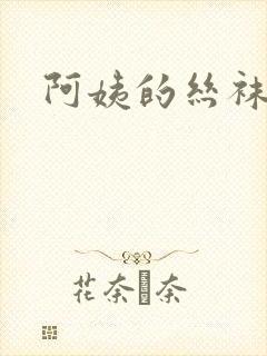 阿姨的丝袜小说