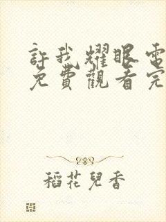 许我耀眼电视剧免费观看完整版在线封面