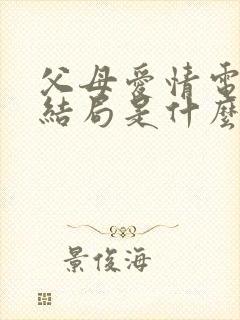 父母爱情电视剧结局是什么封面