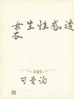 女生性感透明内衣