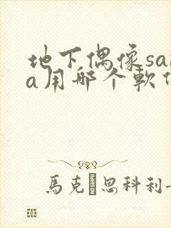 地下偶像sana用哪个软件看