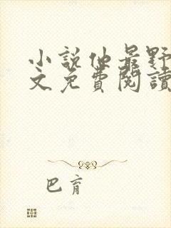 小说他最野了全文免费阅读