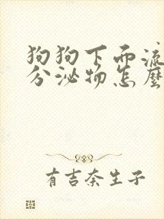 狗狗下面流黄色分泌物怎么回事