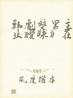 韩剧双男主《不止暧昧》在线播放