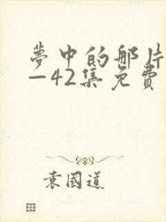 梦中的那片海1—42集免费观看