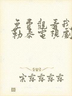 免费观看我的阿勒泰电视剧