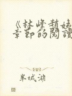 《林峰赵姨全部章节的阅读小说》封面