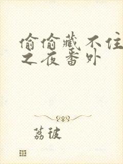 偷偷藏不住新婚之夜番外