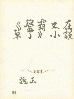 《学霸又在哄校草了》小说