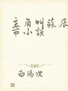 主角叫苏辰的都市小说