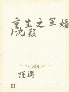 重生之军婚(h)沈毅
