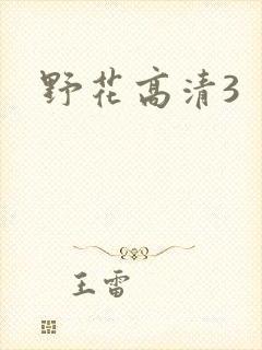 野花高清3封面