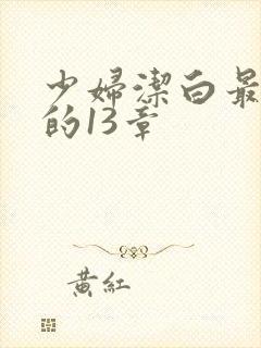 少妇洁白最刺激的13章封面