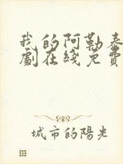 我的阿勒泰电视剧在线免费观看第六集