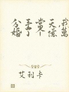 分手当天,我闪婚了个亿万富翁大结局