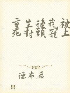 重生后我被渣男死对头宠上天短剧