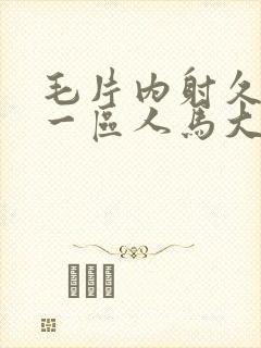 毛片内射久久久一区人马大战