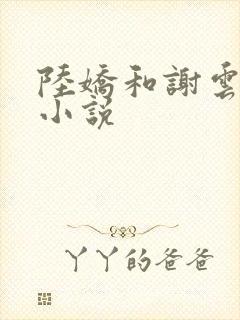 陆娇和谢云瑾的小说