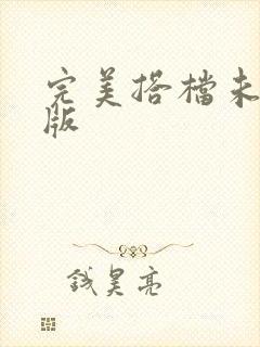 完美搭档未删减版