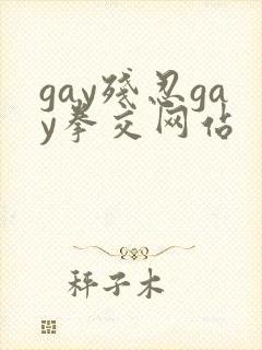 gay残忍gay拳交网站封面