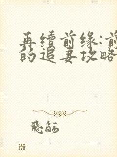 再续前缘:前夫的追妻攻略 短剧