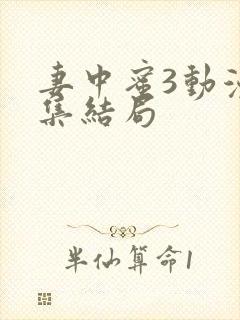 妻中蜜3动漫全集结局