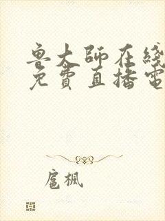 鲁大师在线观看免费直播电视剧下载