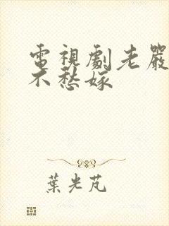 电视剧老严有女不愁嫁