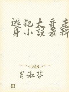 逃犯大哥老婆献身小说最新章节更新封面