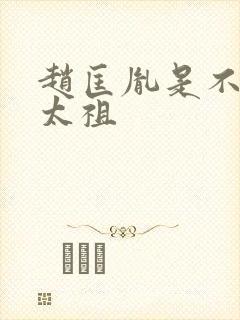 赵匡胤是不是宋太祖封面