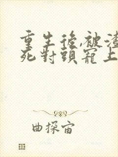 重生后,被渣男死对头宠上天全文阅读封面