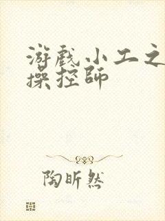 游戏小工之元素操控师封面