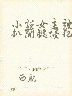 小说女主被强行扒开腿侵犯