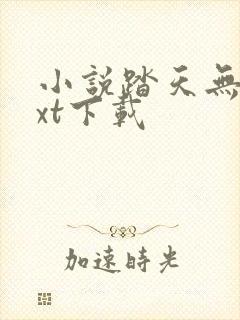 小说踏天无痕txt下载封面