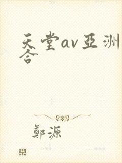 天堂av亚洲综合封面