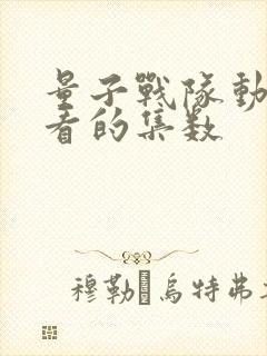 量子战队动漫好看的集数