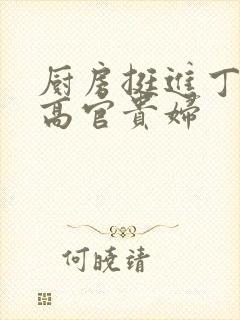 厨房挺进丁字裤高官贵妇