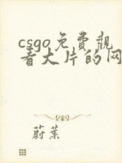 csgo免费观看大片的网站