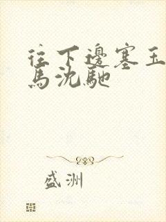 往下边塞玉器骑马沈驰