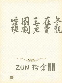 嘘国王在冬眠电视剧免费观看全集封面